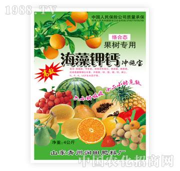 ��(r��n)��-������}������(sh��)��(zhu��n)�ã�