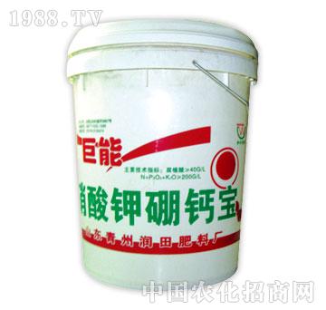 ����-������������}��