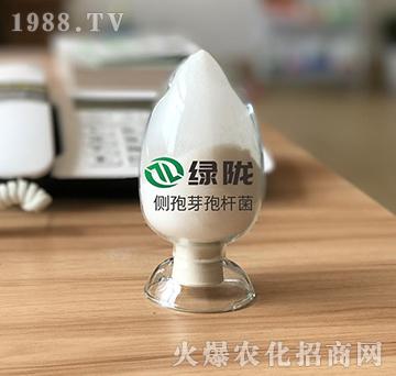 ���߶�ѿ�ߗU��-�G�]����