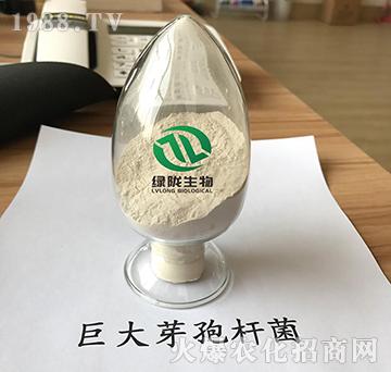 �޴�ѿ�ߗU��-�G�]����