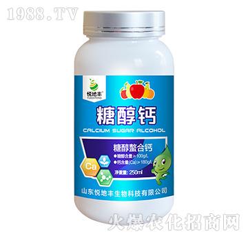 �Ǵ������}-�Ǵ��}-�����S