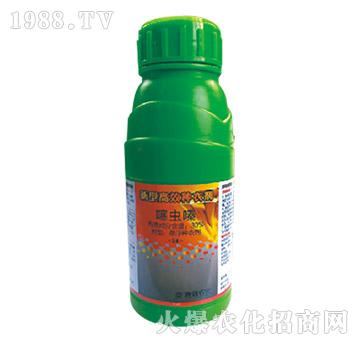 30%���x�-ԥ��