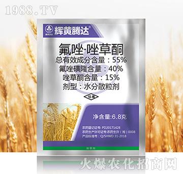 55%�������ͪ-�x�S�v�_(d��)-�к����_(d��)