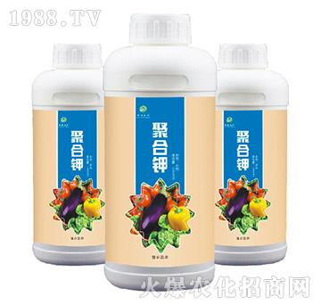 �ۺ��-��ɭ�r��