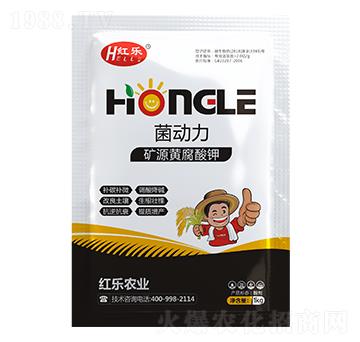 �VԴ�S�����-����(d��ng)��-�t��