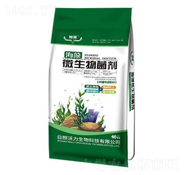 ����΢�������-��������