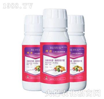 �������߾�������ѿ�ߗU��-�x��-����ֲ��