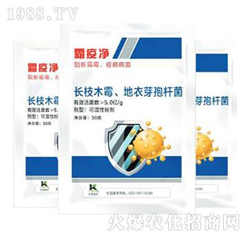 �L(zh��ng)֦ľù������ѿ�ߗU��-˪�߃�-����ֲ��