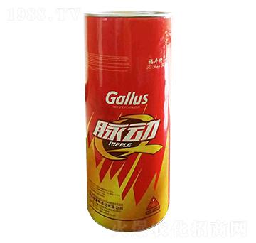 �VԴ�S�����-�}��(d��ng)-�������r(n��ng)��