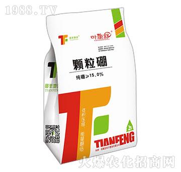 �w����-�~����-���S����