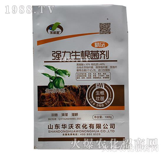 ��������������1000g��-��ʢԴ-�A���r(n��ng)��1