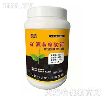 �VԴ�S�����-ِ��-�_(t��i)�_(d��)