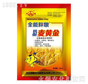 �������S��-ȫ���ֶ�-���