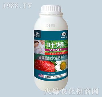 1000ml��ݮ��(zhu��n)�䶬������ķ����-�~ķ