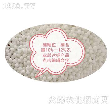 �w����-���������