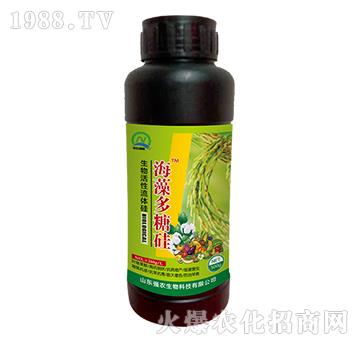 ����������w��-������ǹ�-���r