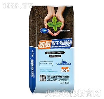 ̼ø΢�������-���r(n��ng)