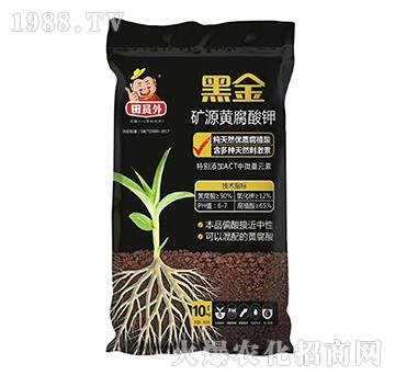 �VԴ�S�����-�ڽ�-�f(w��n)��