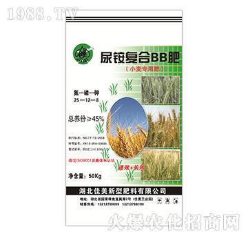 С����(zhu��n)�����@��(f��)��BB��-����