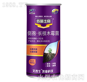 ��(c��)�ߡ��L(zh��ng)֦ľù��-��������-������