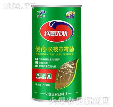 ��(c��)�ߡ��L(zh��ng)֦ľù��-�����o(w��)�n-������