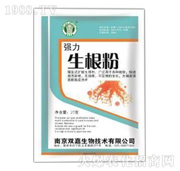 ����������-�p������