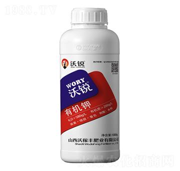 �ЙC�-���J-�ּ��S�ʘI(y��)