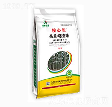 �����L�������x�-�ڼZ