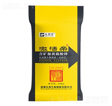 ���VԴ�S�����-�����-������