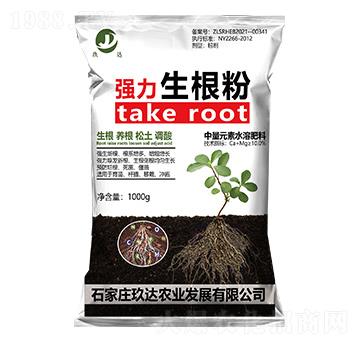 ���������� ���_