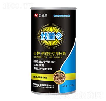 �L֦�����߶�ѿ�ߗU��-������-�P��˹