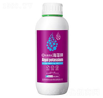 �����-�ж��r(n��ng)��