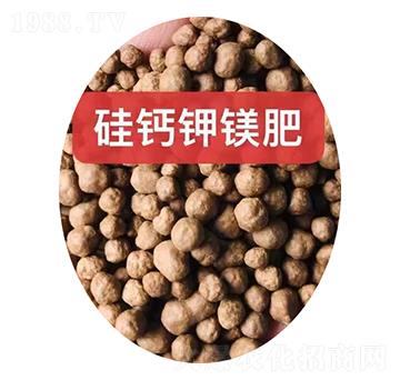 ���}��V���w��-���r