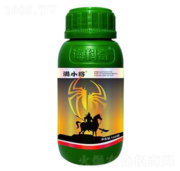 20%������-�MС��-������