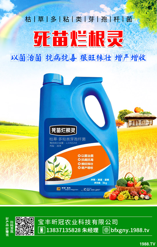 怎么種植羅漢果,羅漢果種植方法介紹!