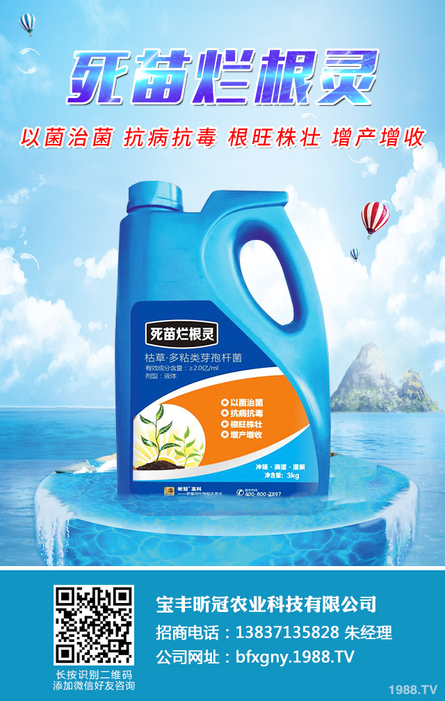 小麥全蝕病與根腐病怎么辦?小麥全蝕病與根腐病防治