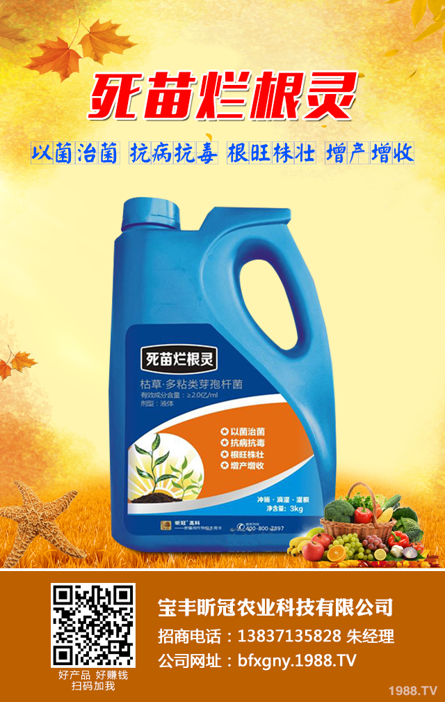 菜豌豆死苗怎么辦?菜豌豆死苗有效防治技巧