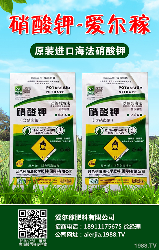 С�[��ô�Nֲ�a(ch��n)������С�[�ķNֲС������