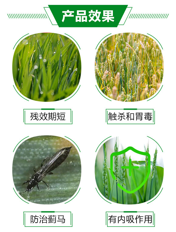 15%������-�E�R����-�����S_03