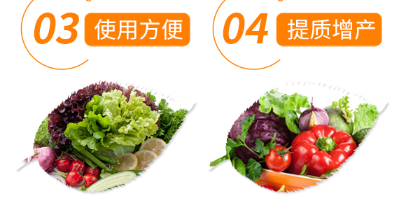 ��Ȼ�ЙC(j��)��ጵ���-���ܵ�-�t��_07