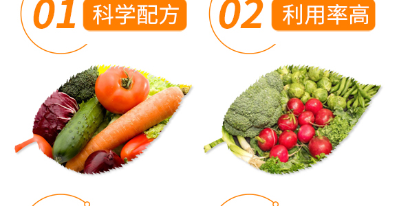 ��Ȼ�ЙC(j��)��ጵ���-���ܵ�-�t��_06