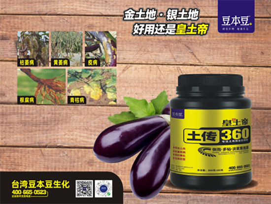 ����360-������-������