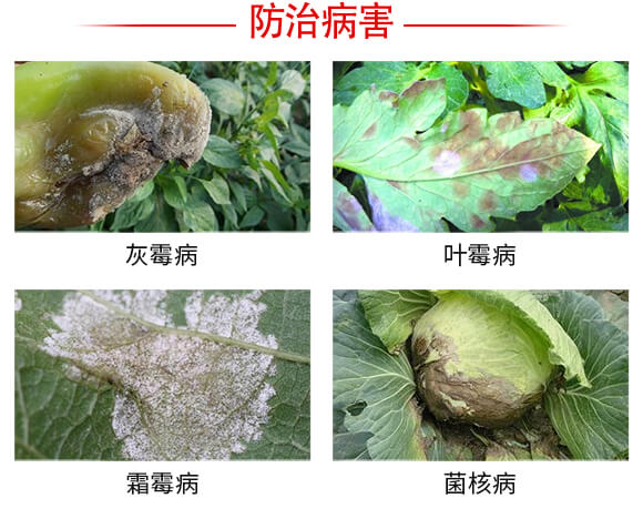 ���w˪�^-���r(n��ng)����_03