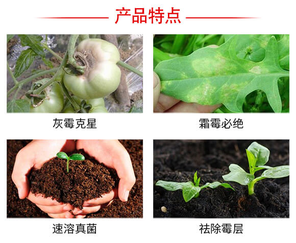 ���w˪�^-���r(n��ng)����_04