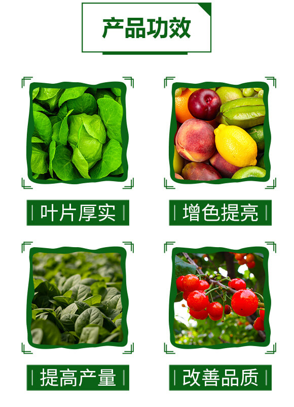 �����ЙC(j��)�|(zh��)�����-䁝M��-���~����_04