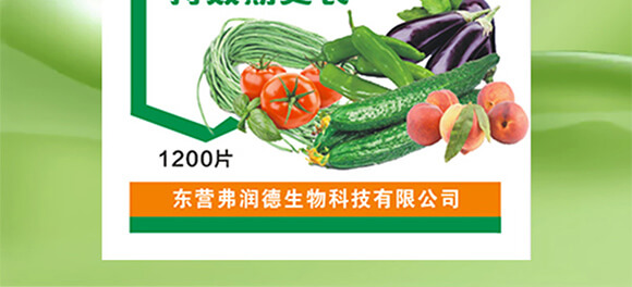 �ѹ�ͨ�Ý�s��-����ʭ��-����(r��n)��_03