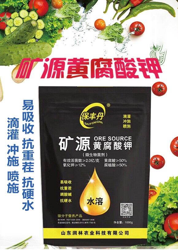 �VԴ�S�����-���S��-�����r�I(y��)_01