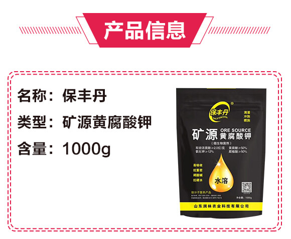 �VԴ�S�����-���S��-�����r�I(y��)_02