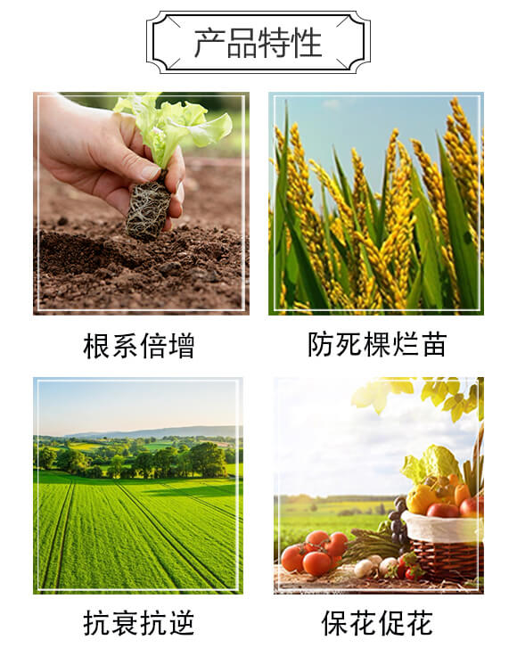 ���ǹȰ���΢�������-����_03