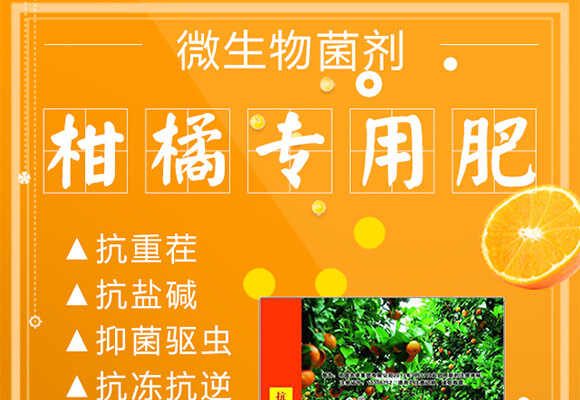 ���ٌ�(zhu��n)��΢�������-���r(n��ng)_01